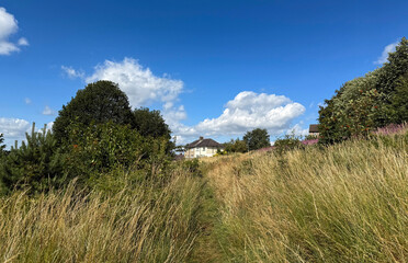 A slender path winds through wild grasses, kissed by light and memory. Above, a sky of tender blue cradles drifting clouds, while old homes nestle like whispered promises in Shipley, Yorkshire, UK
