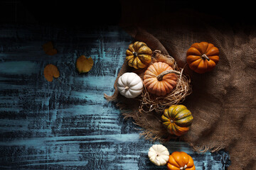 Fototapeta premium Autumn Harvest Pumpkin Display
