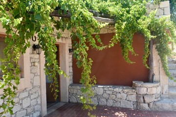 Detail of ancient house doorway with stone brick and grape green vinery overhang in Crete Greece Europe