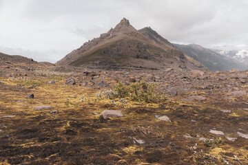 Icelandic landscape