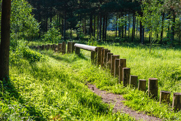Obraz premium Children's Playground with Log Stepping Structures in a City Park. Natural Wooden Play Area for Kids.