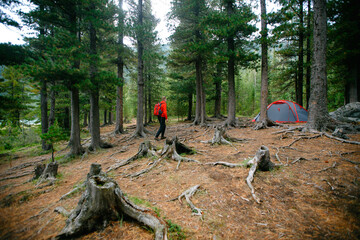 Caucasian male adult hiking in forest camp with red tent among pine trees, travel adventure outdoors concept