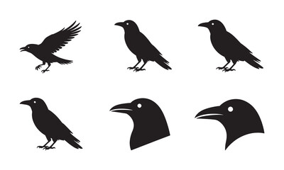 Fototapeta premium Bird Silhouette Icons Collection for Nature Design