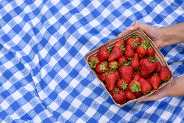 strawberries in hands