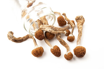 Dried magic mushrooms spilled from jar