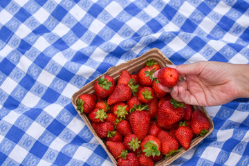 fresh strawberries in a basket
