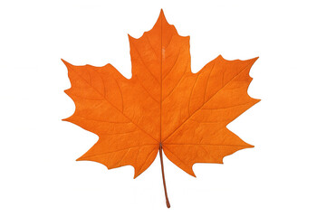 Naklejka premium Orange maple leaf isolated on transparent background, representing fall season, change, and natural beauty