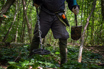 A person uses a metal detector to search for hidden treasures in a vibrant forest filled with...