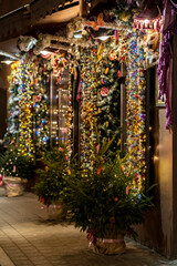 Christmas / Holiday Decorations