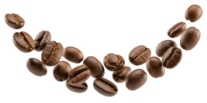 A curved arrangement of roasted coffee beans isolated on transparent background