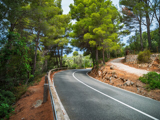Curved mountain road surrounded by dense pine forest and Mediterranean vegetation in Mallorca, Spain, perfect for scenic drives and nature exploration.