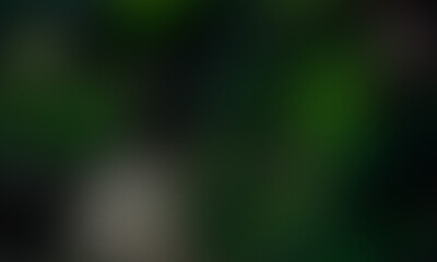 Abstract Dark Forest Foliage with Subtle Light Texture grainy gradient background