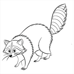 Raccoon Bundle