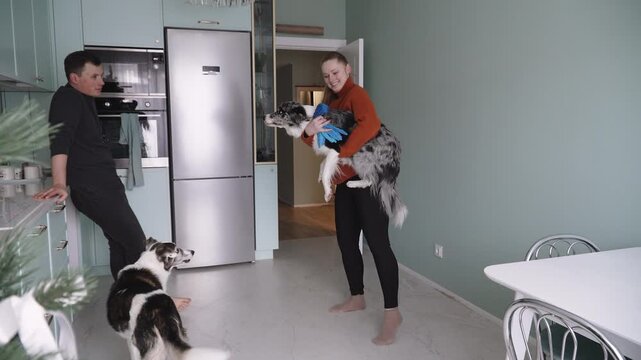 Dog jumping on arms of Caucasian woman in kitchen near man indoor. Married couple chatting and playing happily with two pets border collie at home in wide shot.