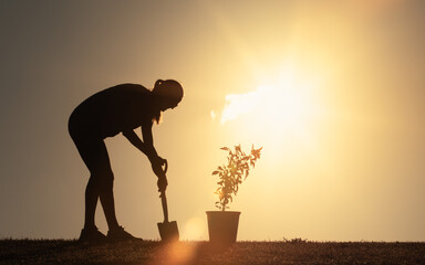 Person planting trees working in garden promoting local food production and habitat restoration,...