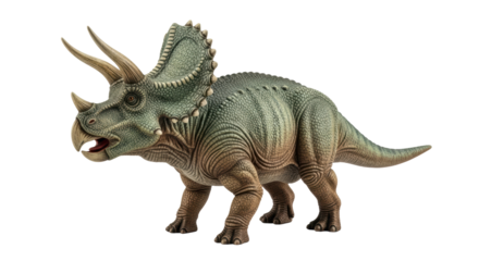 Isolated Triceratops Dinosaur