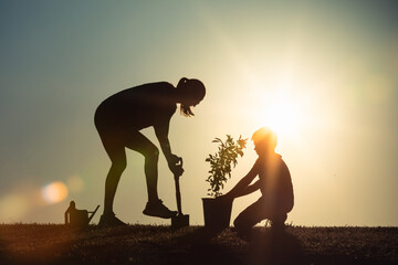 Parent and child planting a tree. 