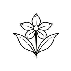 Snowflake leucojum flower outline design