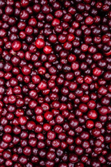 pomegranate seeds background