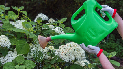 gardening tools on the grass