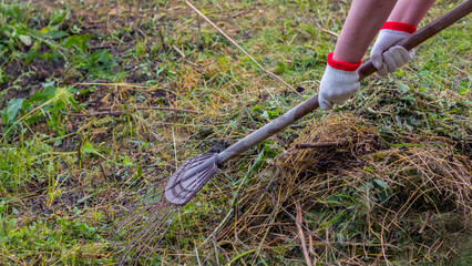 gardening tools on the grass