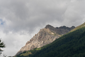 Monte Sassalbo