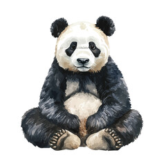 Giant Panda, watercolor illustration vector, isolated on a white background. © telma