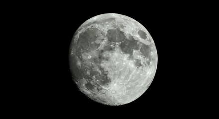 Fototapeta premium High-resolution full moon photograph displaying lunar surface details, craters and maria against deep black space backdrop