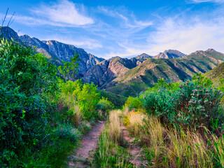 Hiking trails leading to the Langeberg Mountains, Robertson, South Africa