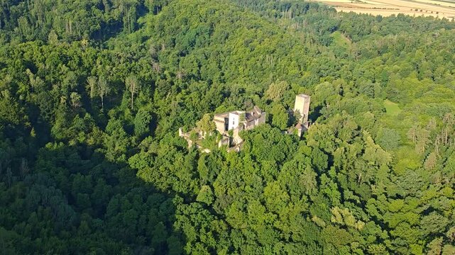 Aerial panorama of medieval Kaja Castle ruins near Hardegg surrounded by forest in scenic Austrian landscape