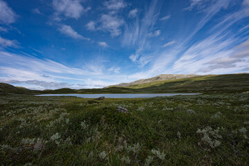 A morning on the plateau, with a lake rippling in the wind and white clouds blowing across the blue sky, Ål, summer in Norway