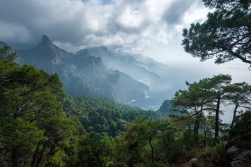 Vast backdrop of towering mountains with a sea view trees swaying in a breeze natural splendor