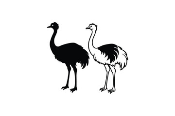 Fototapeta premium Two ostriches standing side by side in black and white illustration silhouette