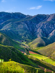 Fototapeta premium Vertical: Narrow valley with vineyards and Langeberg Mountains, Robertson, South Africa
