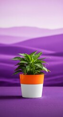 A small green plant in an orange and white pot sits against a purple and white wavy background.