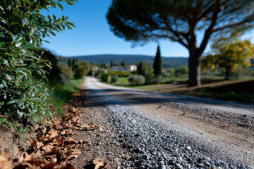 A tranquil gravel pathway meandering through lush greenery, inviting viewers to take a peaceful journey through nature's serene beauty and embrace the outdoors.