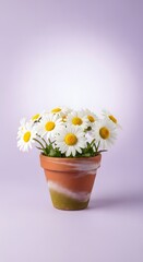 A terracotta pot filled with a vibrant bunch of white daisies with yellow centers, set against a soft, light purple background.
