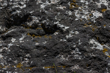 Stone texture rock vivid color wet desert forest boulder wallpaper background