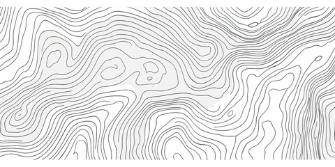 Abstract Topographic Map Lines, Grey Scale, Background Texture, Design Element
