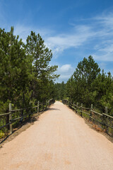 The George S. Mickelson trail, South Dakota