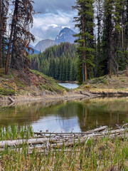 Obraz premium By the side of Maligne Lake, Jasper NP, Alberta, Canada