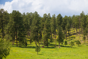 Old rusted vehicle in a meadow