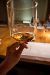 Visit of wine cellar with old large oak barrels, tasting of fortified dry or sweet tasty marsala wine in Marsala, Sicily, Italy