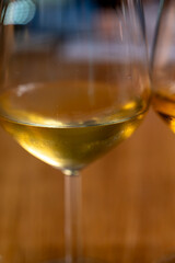 Visit of wine cellar with old large oak barrels, tasting of fortified dry or sweet tasty marsala wine in Marsala, Sicily, Italy