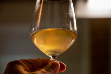 Visit of wine cellar with old large oak barrels, tasting of fortified dry or sweet tasty marsala wine in Marsala, Sicily, Italy