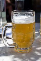 Belgian beer in glass in old brewery in Bruges, light or dark, tasty beverage, lunch with beer, tourist destination, Flanders, Belgium