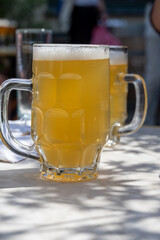 Belgian beer in glasses in old brewery in Bruges, light or dark, tasty beverage, lunch with beer, tourist destination, Flanders, Belgium
