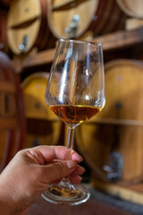Visit of wine cellar with old large oak barrels, hand holding glass of fortified dry or sweet tasty marsala wine from barrels in Marsala, Sicily, Italy