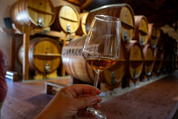 Visit of wine cellar with old large oak barrels, hand holding glass of fortified dry or sweet tasty marsala wine from barrels in Marsala, Sicily, Italy