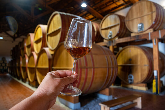 Visit of wine cellar with old large oak barrels, hand holding glass of fortified dry or sweet tasty marsala wine from barrels in Marsala, Sicily, Italy